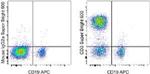 CD3 Antibody in Flow Cytometry (Flow)