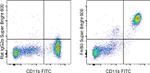 F4/80 Antibody in Flow Cytometry (Flow)