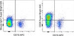 CD28 Antibody in Flow Cytometry (Flow)