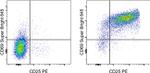 CD69 Antibody in Flow Cytometry (Flow)