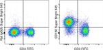 CD150 Antibody in Flow Cytometry (Flow)