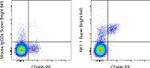 NK1.1 Antibody in Flow Cytometry (Flow)