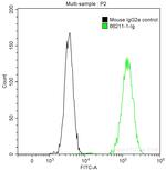 CD13 Antibody in Flow Cytometry (Flow)