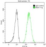 14-3-3 sigma Antibody in Flow Cytometry (Flow)