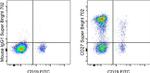 CD27 Antibody in Flow Cytometry (Flow)