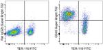 CD45 Antibody in Flow Cytometry (Flow)