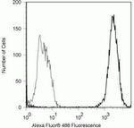 SMAD2 Antibody in Flow Cytometry (Flow)