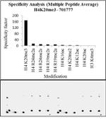 H4K20me3 Antibody