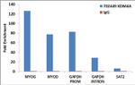 JMJD2A Antibody in ChIP Assay (ChIP)