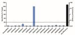 H3K27me1 Antibody in ChIP Assay (ChIP)