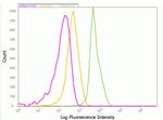 Alexa Fluor 488 Antibody in Flow Cytometry (Flow)