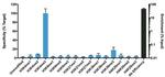 H3K4me3 Antibody in ChIP Assay (ChIP)