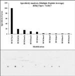 H3K27me1 Antibody