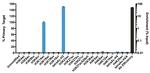 H3K14ac Antibody in ChIP Assay (ChIP)