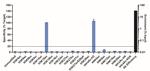 H3K18ac Antibody in ChIP Assay (ChIP)