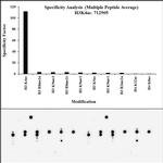 H3K4ac Antibody in Peptide array (ARRAY)