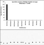 H4K20me1 Antibody in Peptide array (ARRAY)