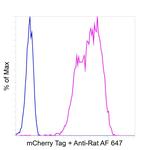 mCherry Antibody in Flow Cytometry (Flow)