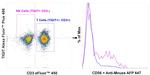 CD56 (NCAM) Antibody