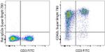 CD62L (L-Selectin) Antibody in Flow Cytometry (Flow)