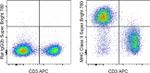 MHC Class II (I-A/I-E) Antibody in Flow Cytometry (Flow)