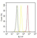 Mouse IgG (H+L) Cross-Adsorbed Secondary Antibody in Flow Cytometry (Flow)