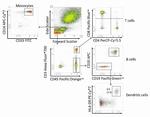 HLA-DR Antibody in Flow Cytometry (Flow)