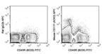 c-Kit Antibody in Flow Cytometry (Flow)