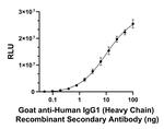 Human IgG1 (Heavy chain) Secondary Antibody in ELISA (ELISA)