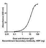 Human IgG1 (Heavy chain) Secondary Antibody in ELISA (ELISA)