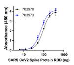 Human IgG (H+L) Secondary Antibody in ELISA (ELISA)