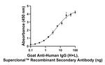 Human IgG (H+L) Secondary Antibody in ELISA (ELISA)