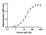 Human IgG (H+L) Secondary Antibody in ELISA (ELISA)