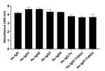 Human IgG (H+L) Secondary Antibody in ELISA (ELISA)