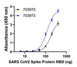 Human IgG (Light chain) Secondary Antibody in ELISA (ELISA)