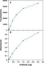 Fluorescein/Oregon Green Antibody