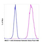 Armenian Hamster IgG (H+L) Highly Cross-Adsorbed Secondary Antibody in Flow Cytometry (Flow)