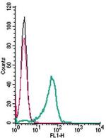 CX3CR1 (extracellular) Antibody in Flow Cytometry (Flow)