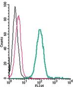 TREM2 (extracellular) Antibody in Flow Cytometry (Flow)