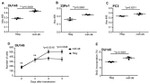 BrdU Antibody in Flow Cytometry (Flow)