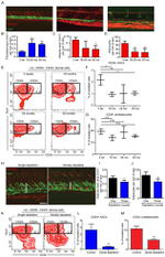 CD24 Antibody in Flow Cytometry (Flow)