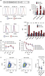 CD45.2 Antibody in Flow Cytometry (Flow)