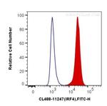 MUM1/IRF4 Antibody in Flow Cytometry (Flow)