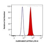 ATP5A1 Antibody in Flow Cytometry (Flow)