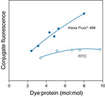 Mouse IgG (H+L) Cross-Adsorbed Secondary Antibody