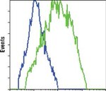 GFP Antibody in Flow Cytometry (Flow)