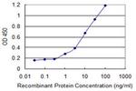 ACTN4 Antibody in ELISA (ELISA)