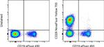 CD28 Antibody in Flow Cytometry (Flow)