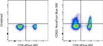 CD62L (L-Selectin) Antibody in Flow Cytometry (Flow)