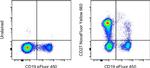 CD27 Antibody in Flow Cytometry (Flow)